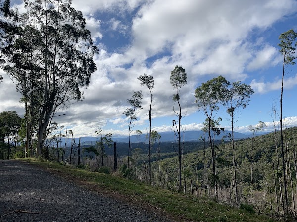Mathias Walking Track 2