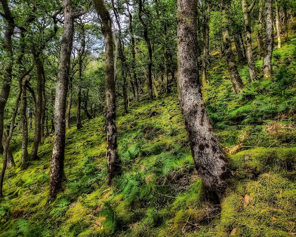 Stonethwaite 3
