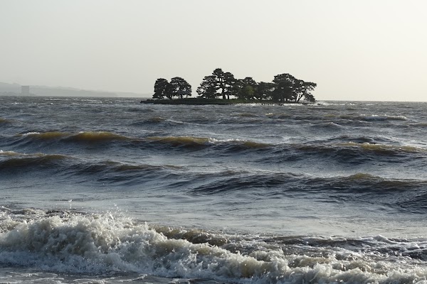 Lake Shinji