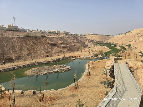 شعيب ام قصر(الرياض الخضراء) 1
