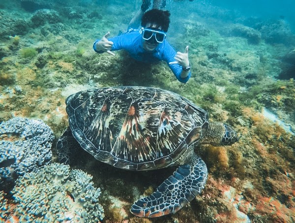 Apo Island