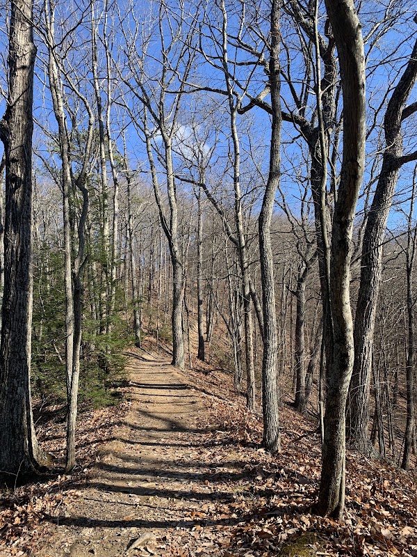 Hungry Mother State Park 2
