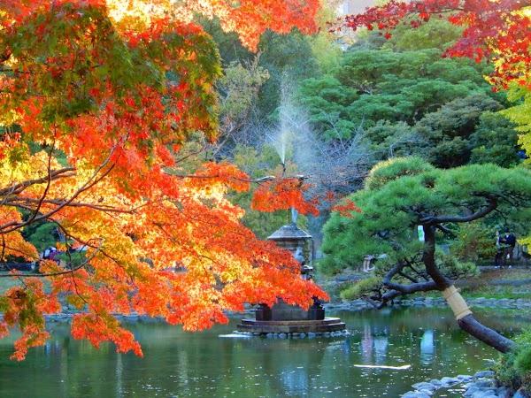 Hibiyakoen 1