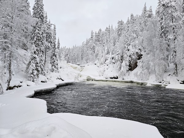 Oulanka National Park 4