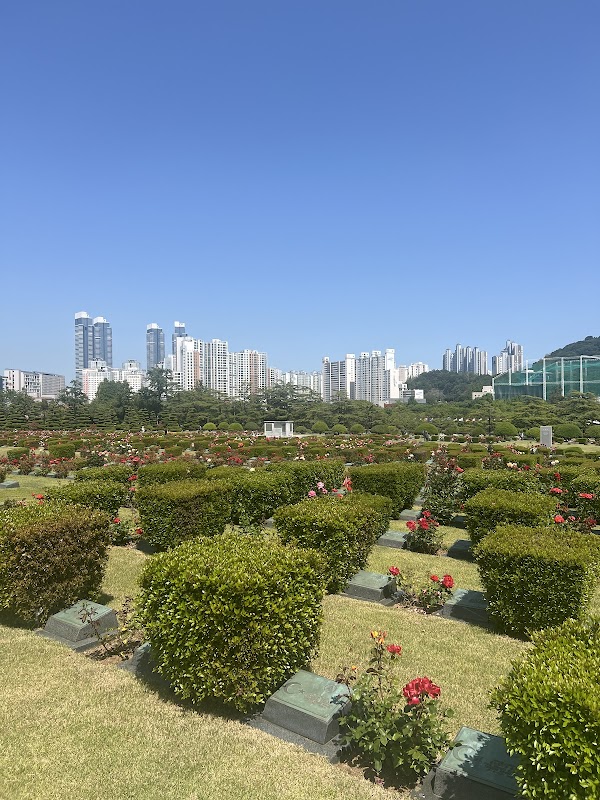 UN Memorial Cemetery in Korea 2