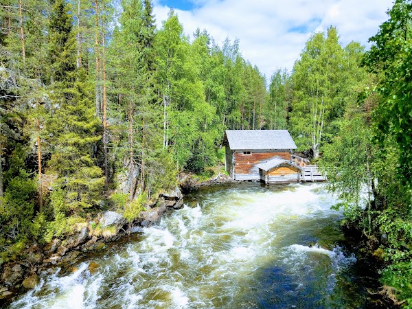 Myllykoski Rapids 5