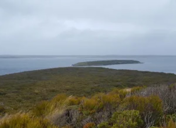 Ranui Coastwatch Station