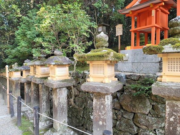 Kasuga Taisha 2