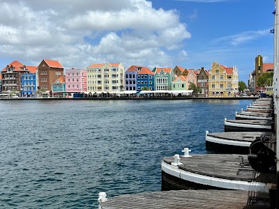 Curaçao 🪼 20