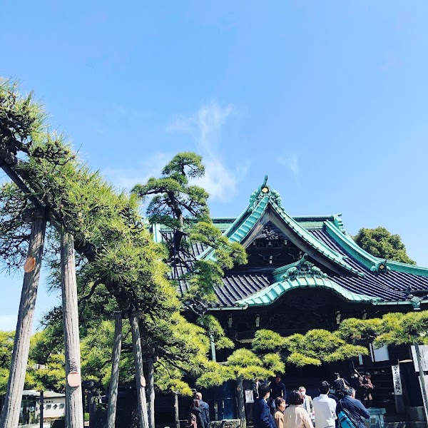 Zuiryu-no-matsu Pine Tree 1