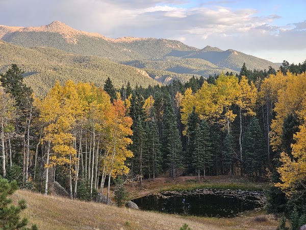 Mueller State Park 5