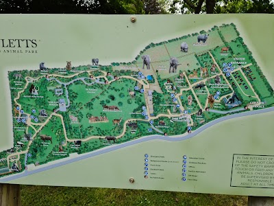 Howletts Wild Animal Park