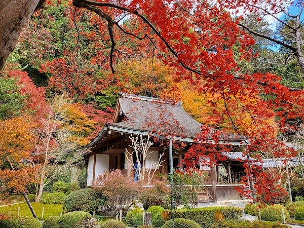 Jakkō-in Temple 1