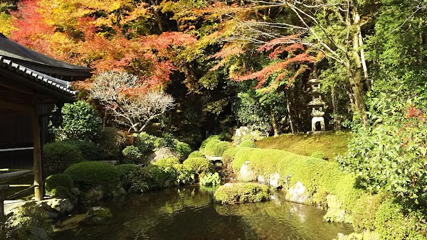 Jakkō-in Temple 5