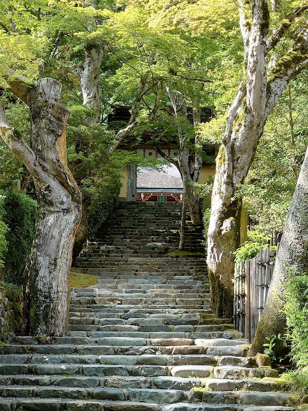 Jakkō-in Temple 3