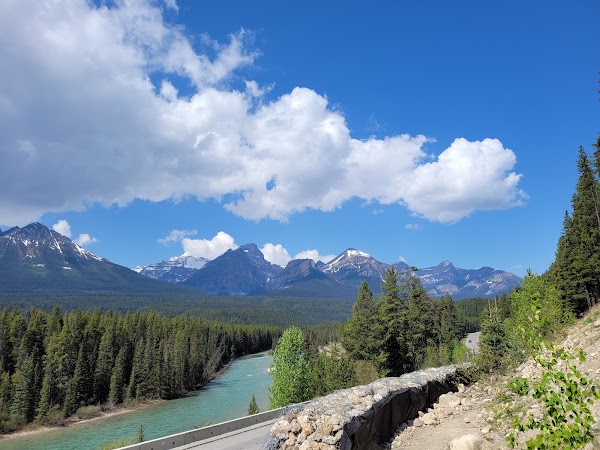 Morant's Curve 5