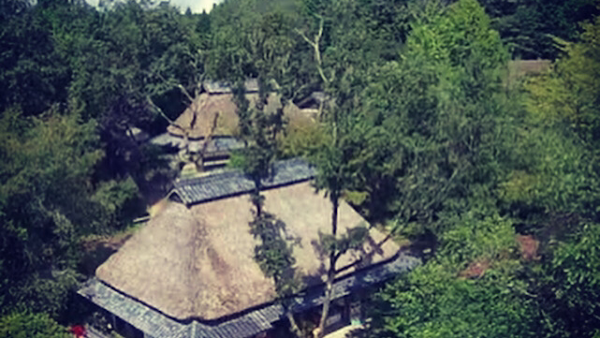Koka Ninja Village 1
