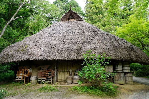 Koka Ninja Village 5