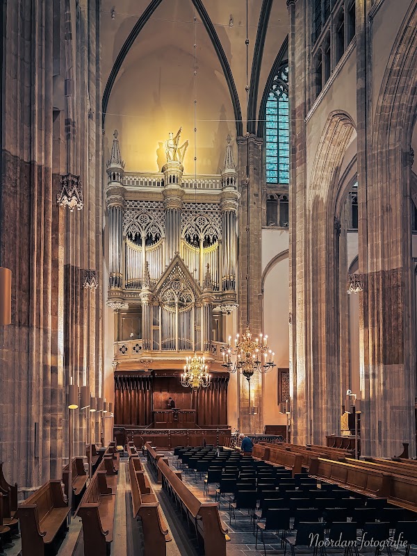 St Martin's Cathedral 2