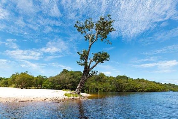 Rio Negro