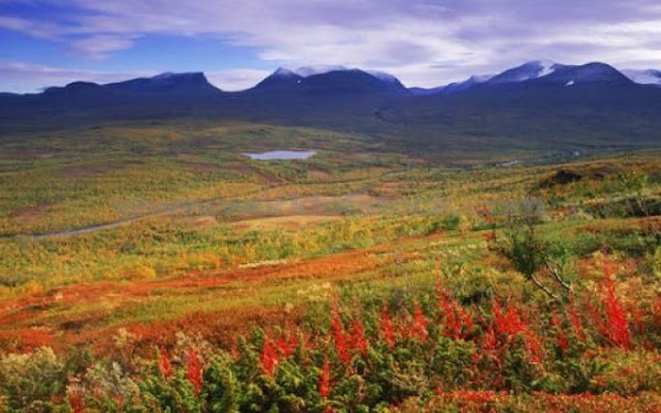 Abisko National Park