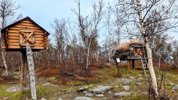 Abisko National Park 4