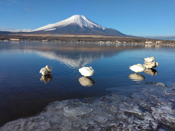 Yamanakako 2