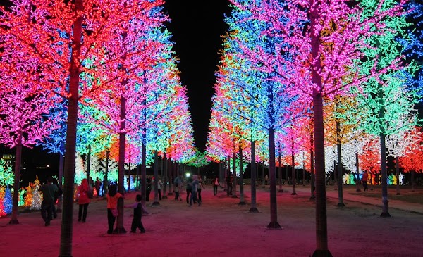 i-City Theme Park 5