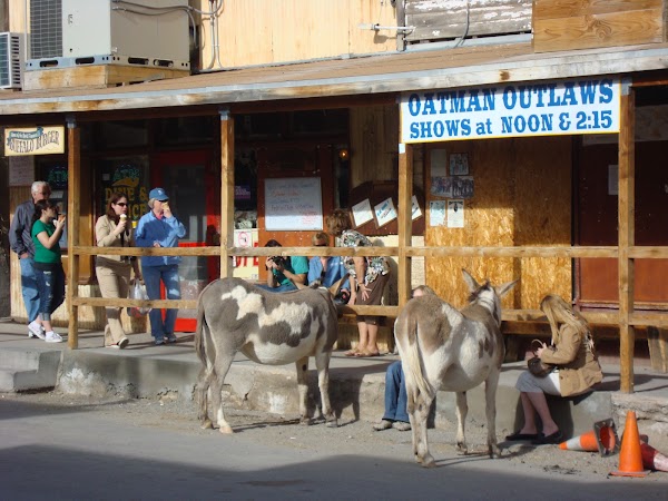 Oatman 5