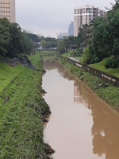 Shenzhen Central Park 2