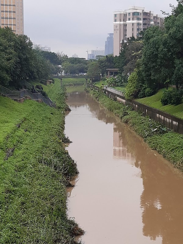 Shenzhen Central Park