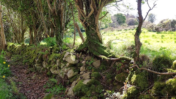 Dublin Mountains View Walk 2