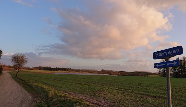 Hærvejen