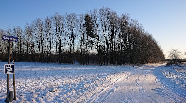 Hærvejen 3