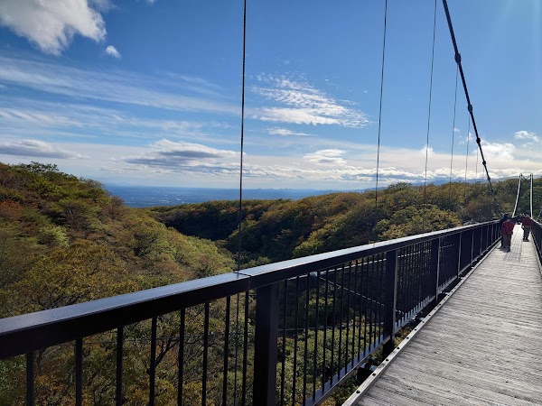 Tsutsuji Suspension Bridge