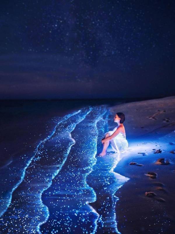 Sea of Stars 1