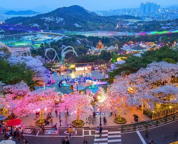 Daegu 3