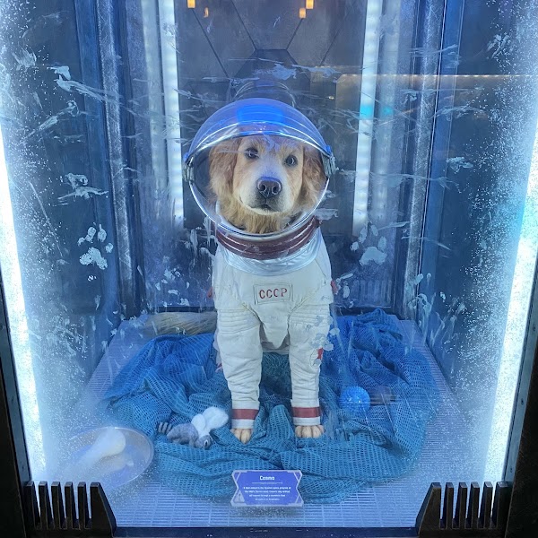 Guardians of the Galaxy – Mission: BREAKOUT! 5