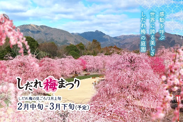 Suzuka forest garden