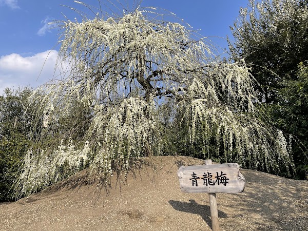 Suzuka forest garden 2