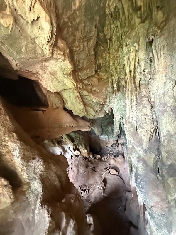 Bat Cave 5