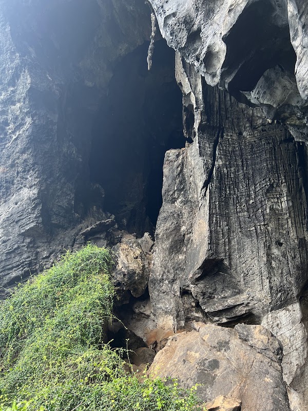 Bat Cave 2