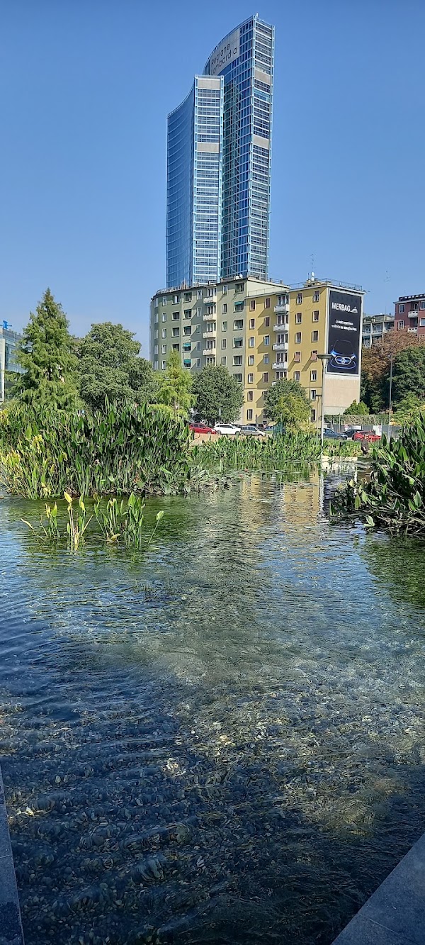 Isola