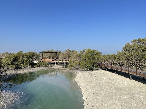 Jubail Mangrove Park 5