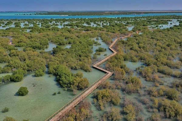 Jubail Mangrove Park 4