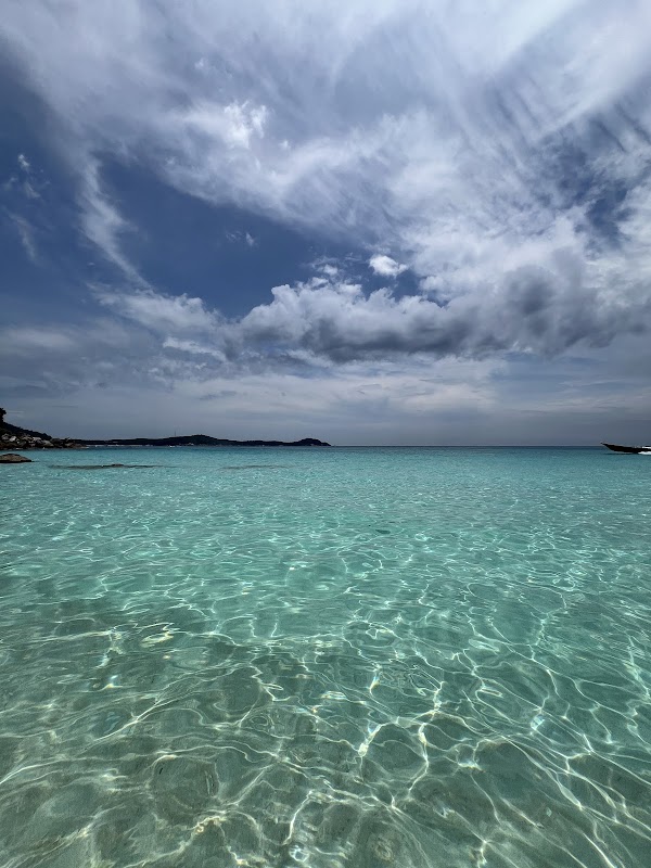 Turtle Beach 2