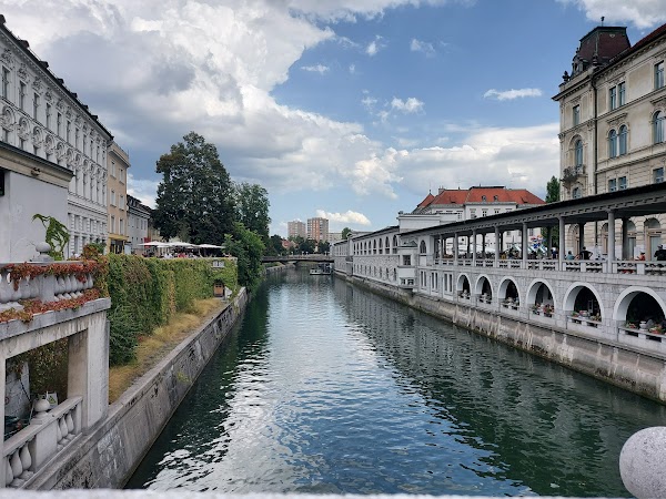 Ljubljanica 5