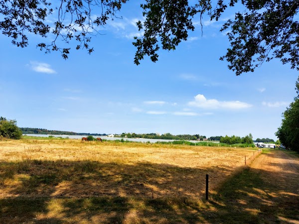 Ellertshaar 4