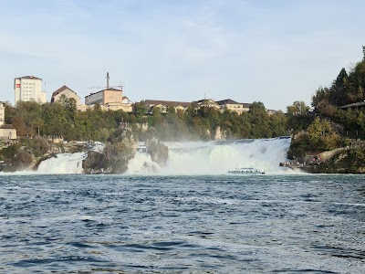 Rhine Falls 2
