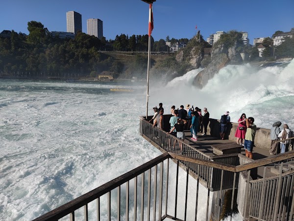 Rhine Falls 6